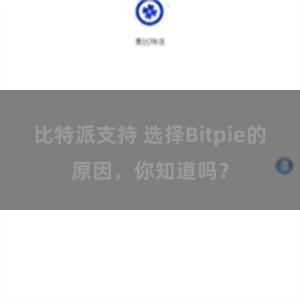 比特派支持 选择Bitpie的原因，你知道吗？