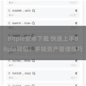 Bitpie安卓下载 快速上手Bitpie钱包，多链资产管理技巧