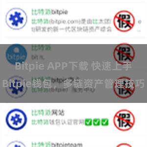 Bitpie APP下载 快速上手Bitpie钱包，多链资产管理技巧