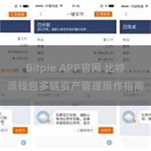 Bitpie APP官网 比特派钱包多链资产管理操作指南