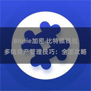 Bitpie加密 比特派钱包多链资产管理技巧：全面攻略