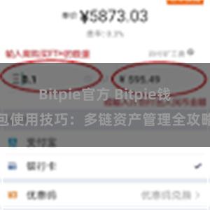 Bitpie官方 Bitpie钱包使用技巧：多链资产管理全攻略