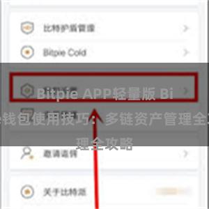 Bitpie APP轻量版 Bitpie钱包使用技巧：多链资产管理全攻略