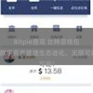 Bitpie提现 比特派钱包：数字资产管理生态进化，无限可能！