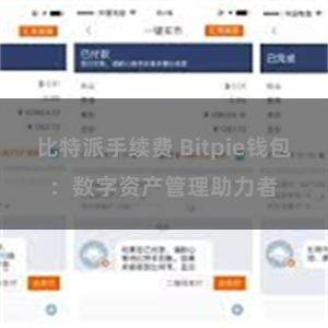 比特派手续费 Bitpie钱包：数字资产管理助力者