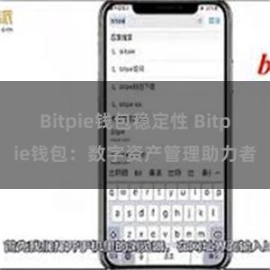 Bitpie钱包稳定性 Bitpie钱包：数字资产管理助力者