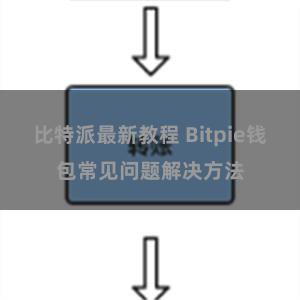 比特派最新教程 Bitpie钱包常见问题解决方法