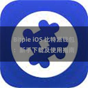 Bitpie iOS 比特派钱包：新手下载及使用指南