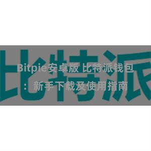 Bitpie安卓版 比特派钱包：新手下载及使用指南