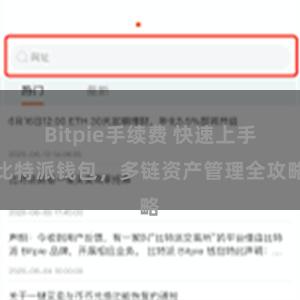 Bitpie手续费 快速上手比特派钱包，多链资产管理全攻略