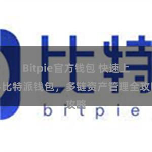 Bitpie官方钱包 快速上手比特派钱包，多链资产管理全攻略