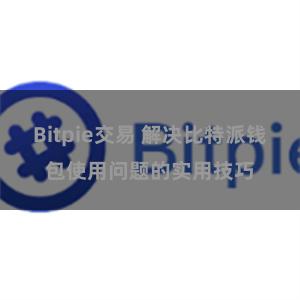 Bitpie交易 解决比特派钱包使用问题的实用技巧