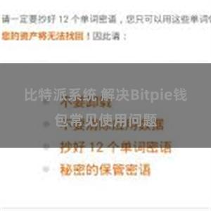 比特派系统 解决Bitpie钱包常见使用问题