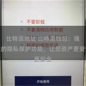 比特派地址 比特派钱包：强大的隐私保护功能，让您资产更安全