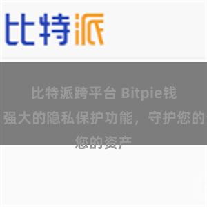 比特派跨平台 Bitpie钱包：强大的隐私保护功能，守护您的资产