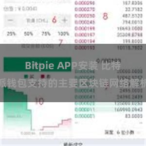 Bitpie APP安装 比特派钱包支持的主要区块链网络解析