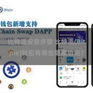 比特派安装步骤 比特派(Bitpie)钱包有哪些隐藏功能？