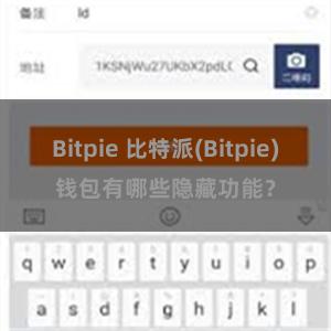 Bitpie 比特派(Bitpie)钱包有哪些隐藏功能？