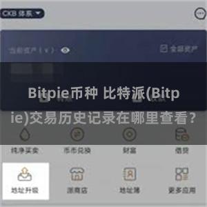 Bitpie币种 比特派(Bitpie)交易历史记录在哪里查看？