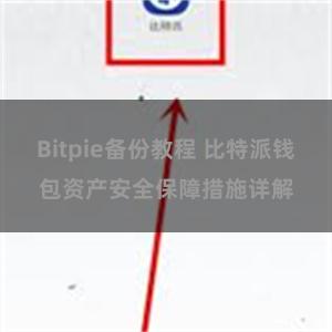 Bitpie备份教程 比特派钱包资产安全保障措施详解