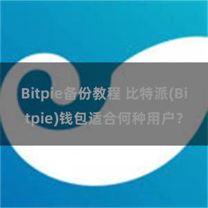 Bitpie备份教程 比特派(Bitpie)钱包适合何种用户？